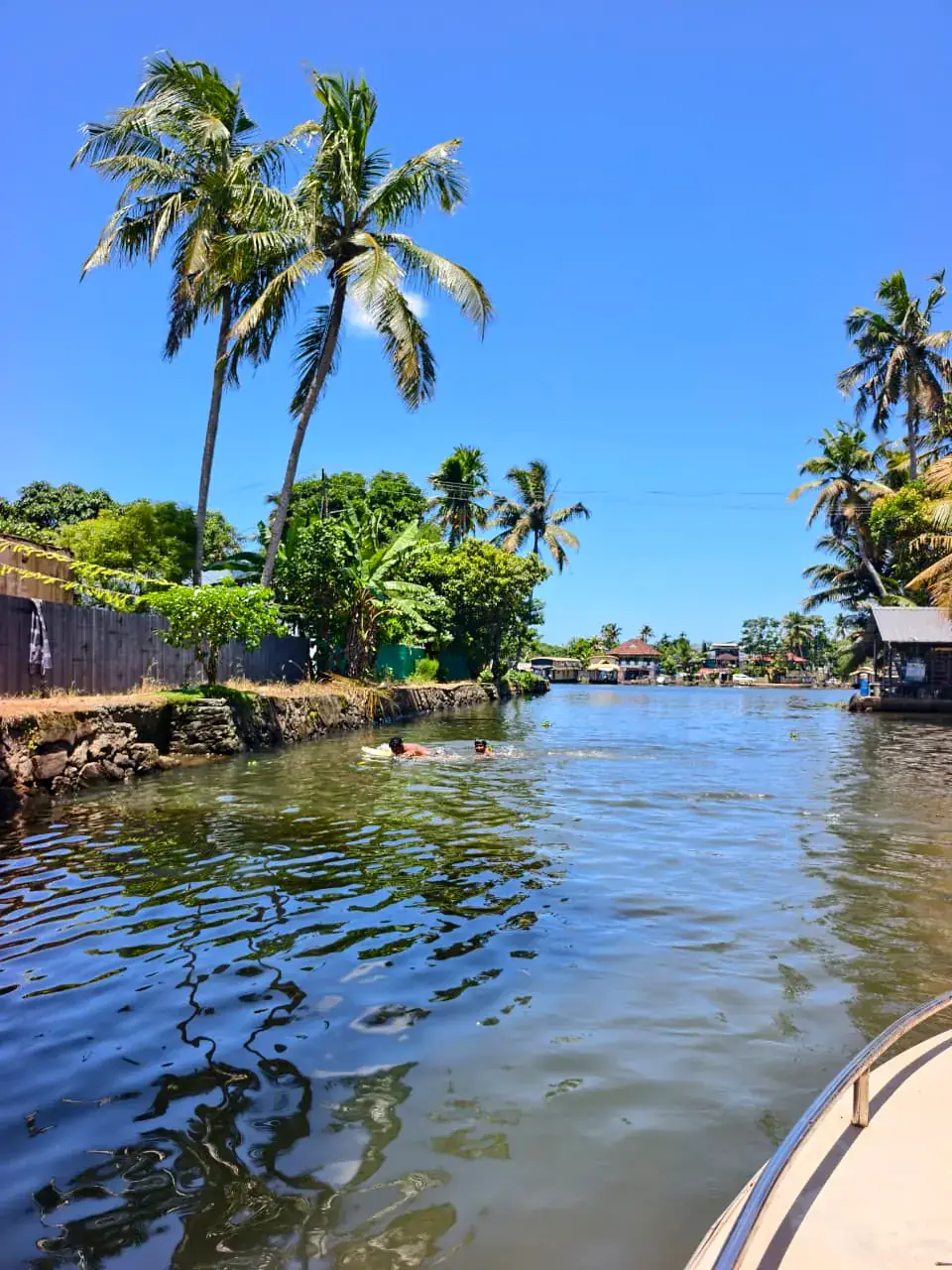 Coconut palms reflected in a peaceful Kerala canal