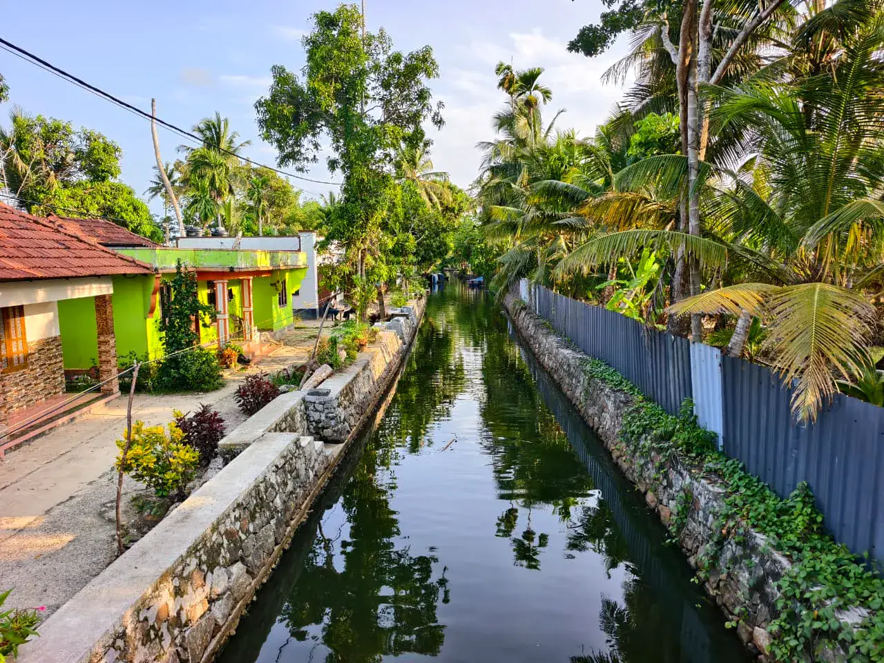 A narrow residential waterway lined with coconut palms