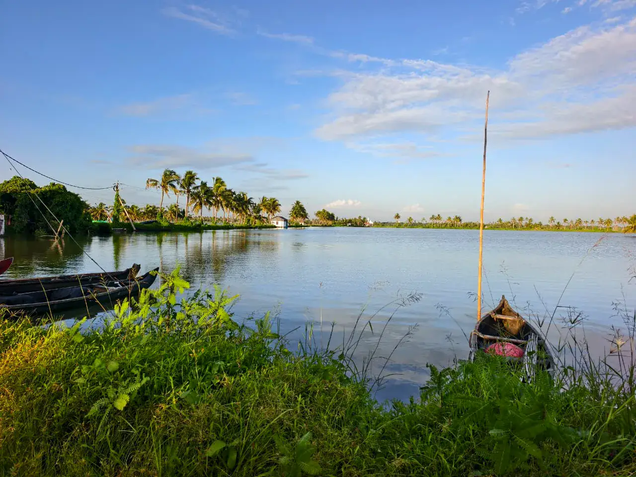 Open backwaters framed by palms and a clear Kerala sky